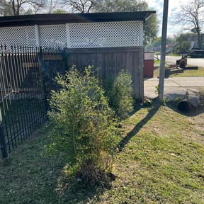 Bush Trimming by Luxury Finish Lawn care reviewed on August 21, 2025
