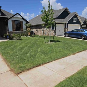 lawn service by Lawncare Recovery and landscape LLC reviewed on August 15, 2025