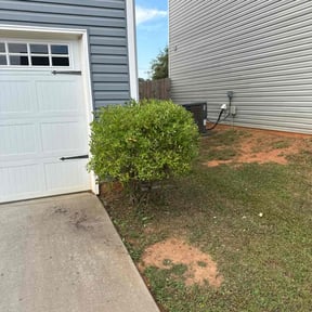 Bush Trimming by Wagner’s Lawn Service reviewed on October 21, 2025