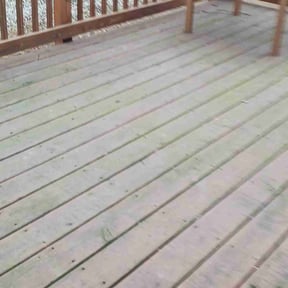 Leaf Removal by Strib the grasshopper reviewed on August 15, 2025