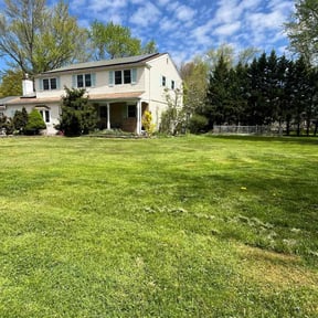 landscaping services by FRL Landscaping reviewed on August 19, 2025