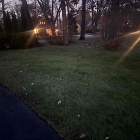 Leaf Removal by Otero&#039;s lawnmower reviewed on November 23, 2025