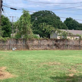 Bush Trimming by Lakewood Lawn Services reviewed on August 19, 2025