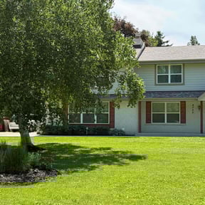 yard service by Accel property development reviewed on August 17, 2025