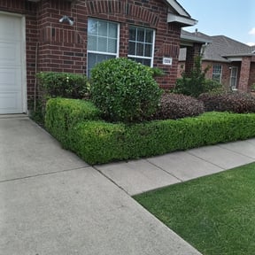 Bush Trimming by Mighty Mavericks Yard and Landscaping Heroes reviewed on August 16, 2025