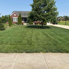 yard care by Renegade Lawn and Landscaping LLC reviewed on August 15, 2025