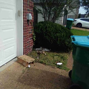 Bush Trimming by Yards by Nick (DELETED ACCOUNT) reviewed on August 18, 2025