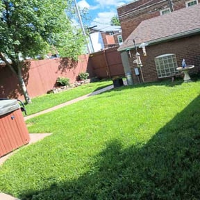 grass maintenance by Andrew James Property Maintenance reviewed on April 27, 2024
