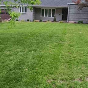 landscape maintenance by Oakwood Landscaping reviewed on August 17, 2025