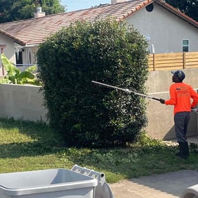 Bush Trimming by Yard Solutions reviewed on October 20, 2025