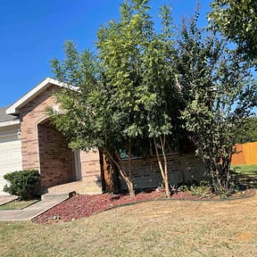 Bush Trimming by Cuts are Clean reviewed on June 10, 2022