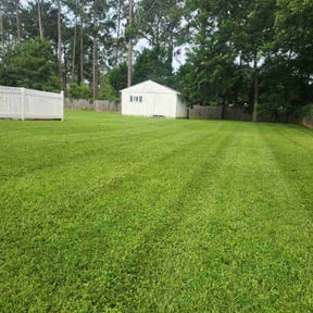 yard maintenance by Banda Landscaping reviewed on November 18, 2025