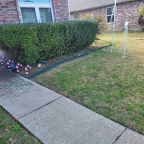 Bush Trimming by Vaquero Hills Landscaping llc. reviewed on December 26, 2025