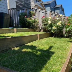 lawn care by Dylan's fresh cut reviewed on June 12, 2024