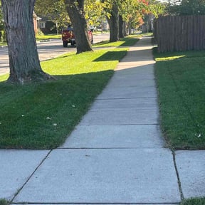 yard service by Mister Detail Lawn Care Service reviewed on December 15, 2025