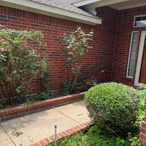 Bush Trimming by Carbon Dioxide Recyclers reviewed on August 16, 2025
