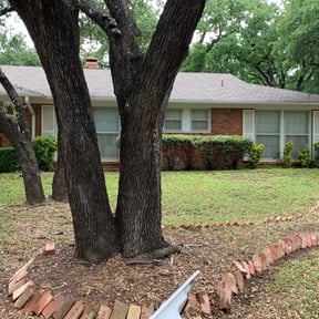 Bush Trimming by Prime Lawn Service . reviewed on August 21, 2025