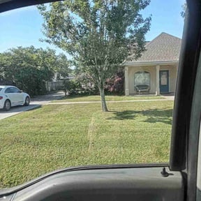 grass maintenance by A Plus Lawn care reviewed on November 19, 2023