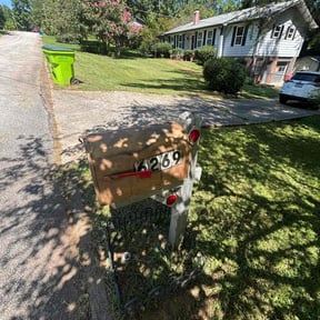 yard care by Freedom Lawn Care reviewed on August 15, 2025