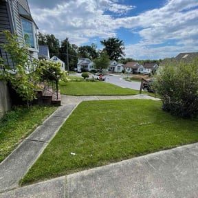 yard care by SOTO'S LANDSCAPING reviewed on August 16, 2025