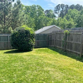 Bush Trimming by Reliable Home Care reviewed on August 17, 2025