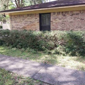 Bush Trimming by Northside lawn Care reviewed on August 20, 2025