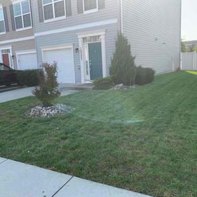 turf maintenance by Haymes Grass Grooming reviewed on July 29, 2025