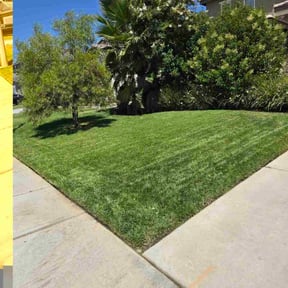 landscape maintenance by Lithium lawn care services LLC reviewed on August 18, 2025