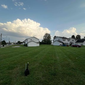 landscape maintenance by A1 Landscape reviewed on August 20, 2025