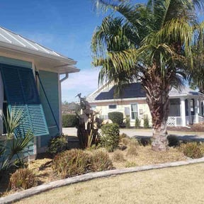 Bush Trimming by Kingdom Landscape &amp; Design reviewed on March 5, 2026