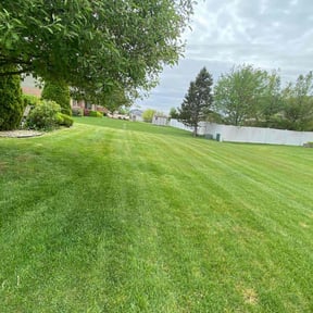 landscaping by HM's Superior Landscape & Design reviewed on August 18, 2025