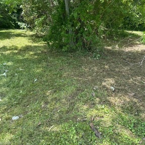 Bush Trimming by Tammy Becker Pool and Lawn Care reviewed on August 18, 2025