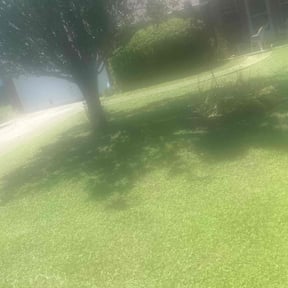 Bush Trimming by Lawn Impression reviewed on November 9, 2025