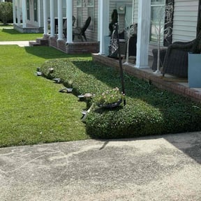 Bush Trimming by The SodFather Lawncare reviewed on August 18, 2025