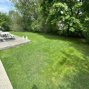 landscaping services by Lo Lo's Landscaping reviewed on August 19, 2025