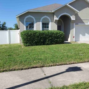 Bush Trimming by A and L lawn Care Professionals reviewed on August 18, 2025