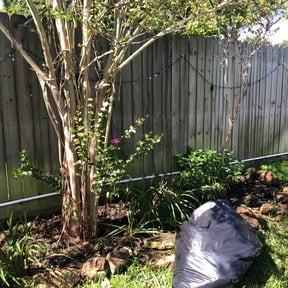 Flower Bed Weeding by Green Way Lawn Care & Maintenance LLC reviewed on August 20, 2025