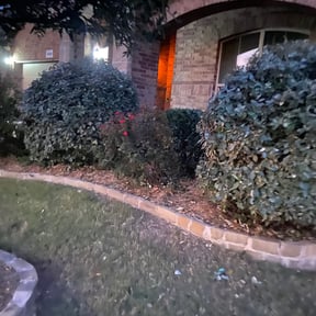 Bush Trimming by Case Home Services, LLC reviewed on August 21, 2025