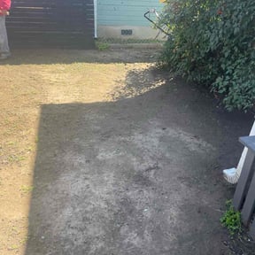 Leaf Removal by Regal Grounds Maintenance reviewed on August 17, 2025