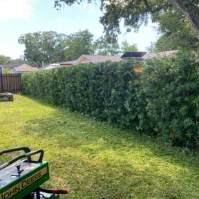 Bush Trimming by Tonys Landscaping LLC reviewed on August 18, 2025
