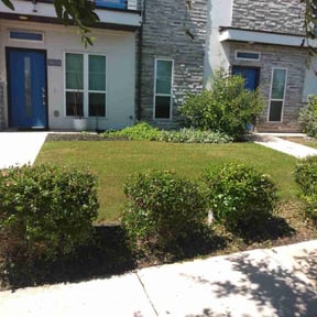 Bush Trimming by Green coqui lawn services reviewed on August 21, 2025