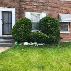 Bush Trimming by D&G Lawn Care reviewed on August 16, 2025