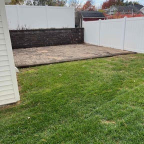 Leaf Removal by Aguilars Lawn Service reviewed on November 8, 2025