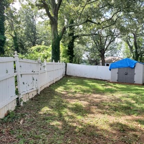 Bush Trimming by Asap Tree & Landscape llc reviewed on August 17, 2025