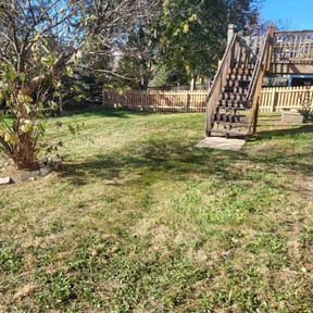 Leaf Removal by Wash's landscaping reviewed on November 20, 2025