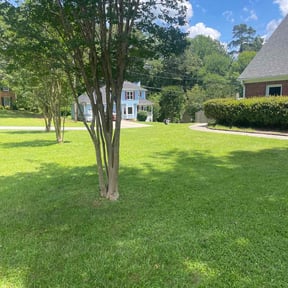 grass cutting by J&amp;J Lawn Service reviewed on August 15, 2025