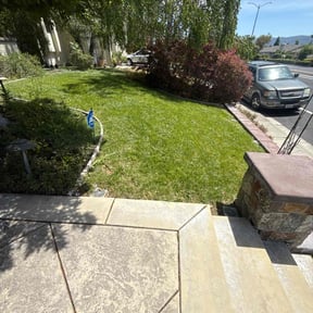 turf maintenance by Evergreen Valley reviewed on August 20, 2025