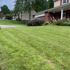 lawn care services by AAT Field Services reviewed on November 9, 2017