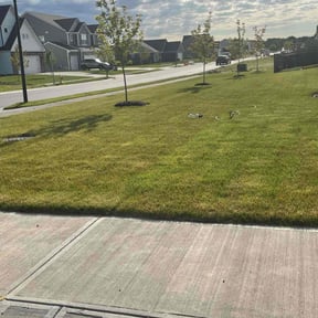 lawn care by Roger W Ries reviewed on June 30, 2025