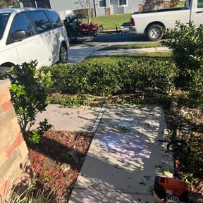 Bush Trimming by Donald Austile Lawn Care reviewed on August 21, 2025